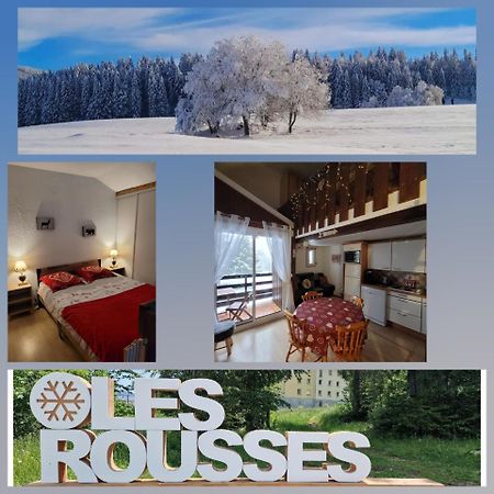 Le Duplex, Superbe Cocon Au Coeur Des Rousses, Tout Confort 5 Pers, Draps Inclus Les Rousses Zewnętrze zdjęcie